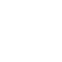 audit