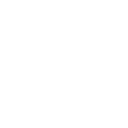 local seo